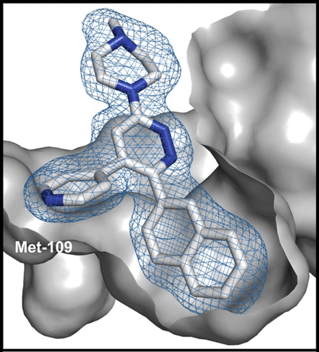 https://doi.org/10.1021/acs.jmedchem.9b00058