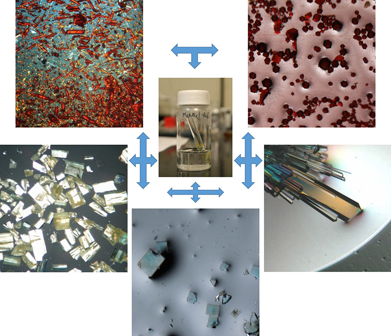 service-crystallography-crystallization